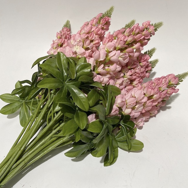 FLOWER, Delphinium - Pink